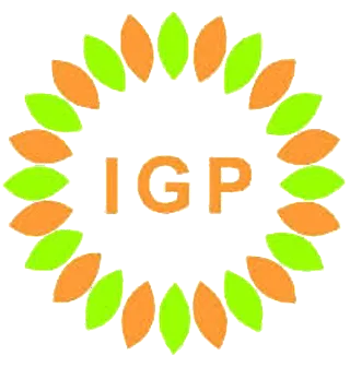 PT IGP INTERNASIONAL
